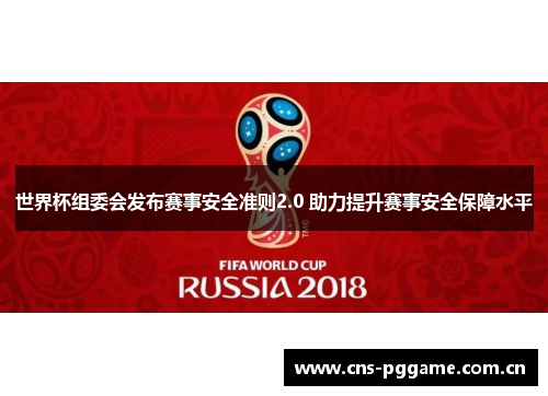 世界杯组委会发布赛事安全准则2.0 助力提升赛事安全保障水平